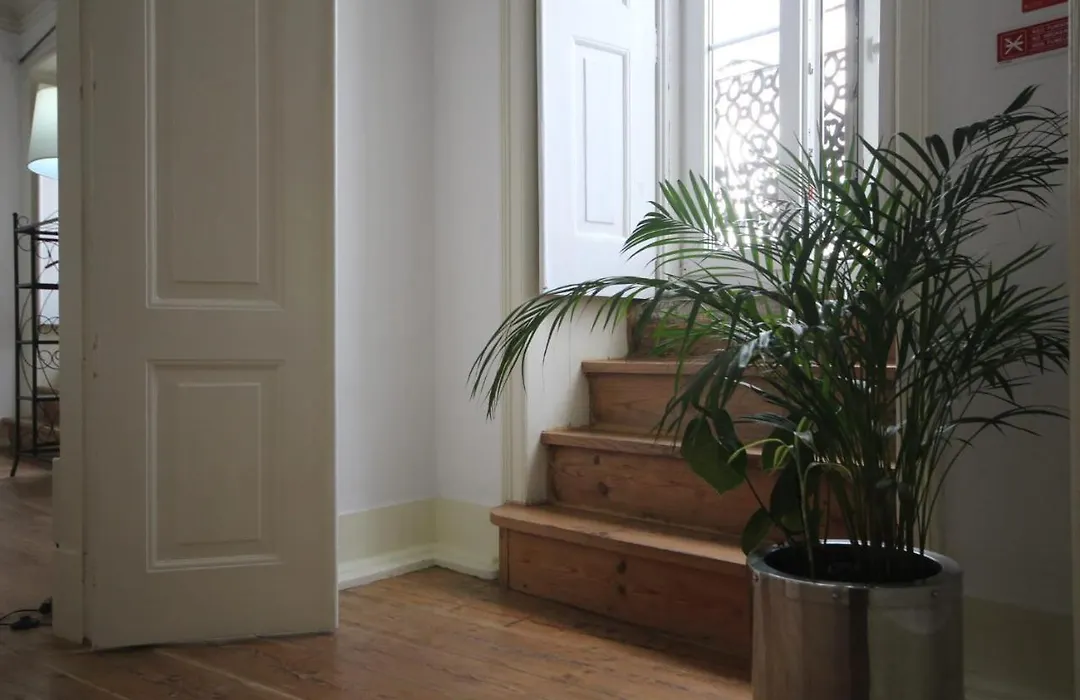 Romantic Chiado 7 -Private Small Single Room With No Outside Window-1